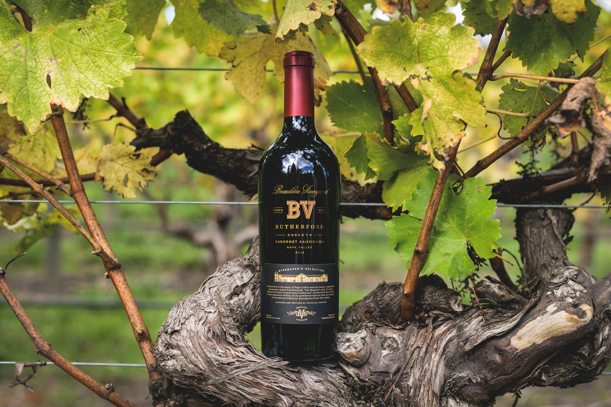 Image of Cab Sauv