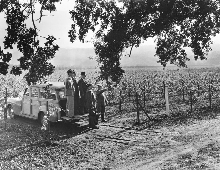 Historical Beaulieu Vineyard Photograph