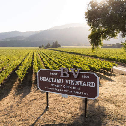 BV Vineyard