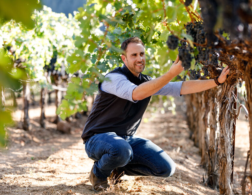 Vineyard