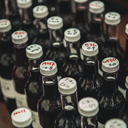 Wine Samples in Laboratory