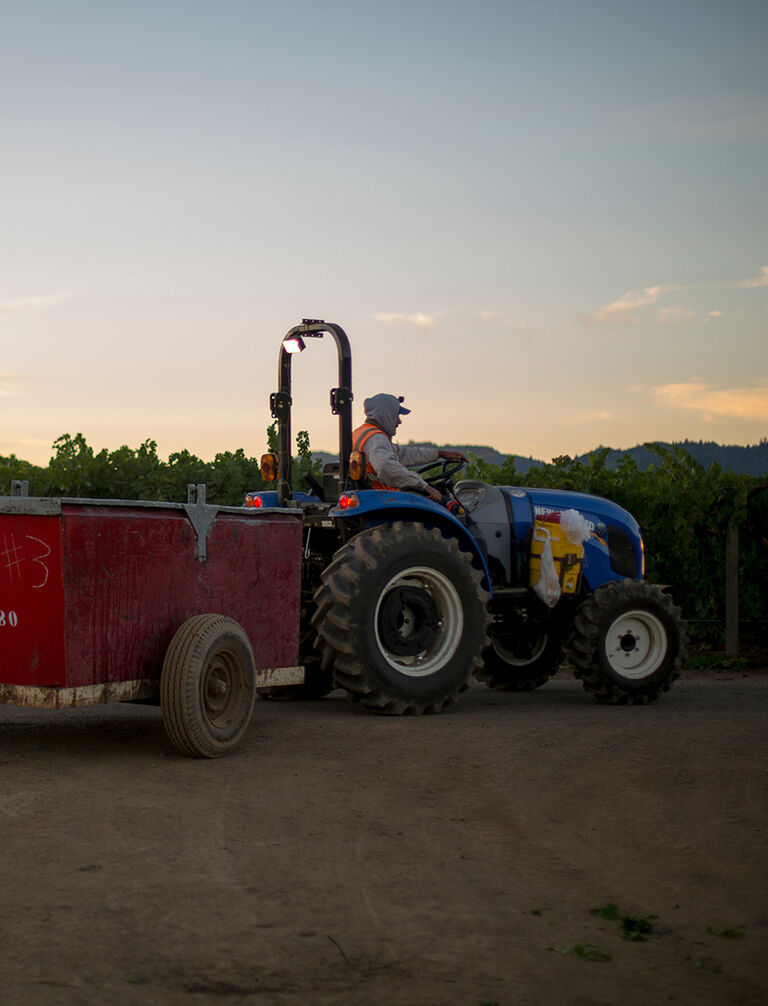 Tractor in Beaulieu Vineyard