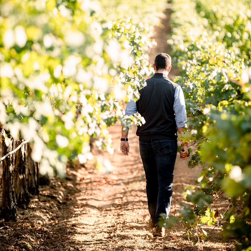 Winemaker Trevor Durling Walking in Vineyard