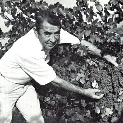 André Tchelistcheff in Vineyard