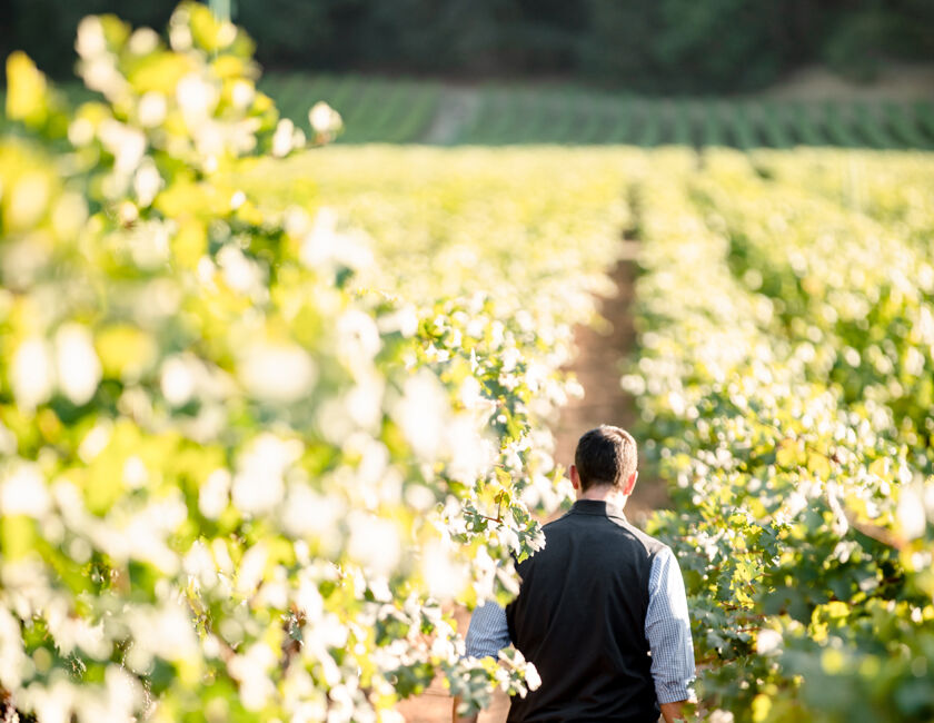 Beaulieu Vineyard Ranch No. 1 in Rutherford