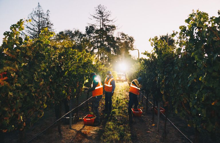 Harvest