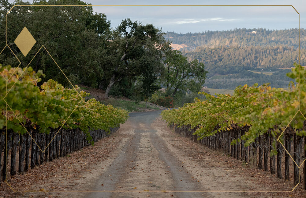Beaulieu Vineyards