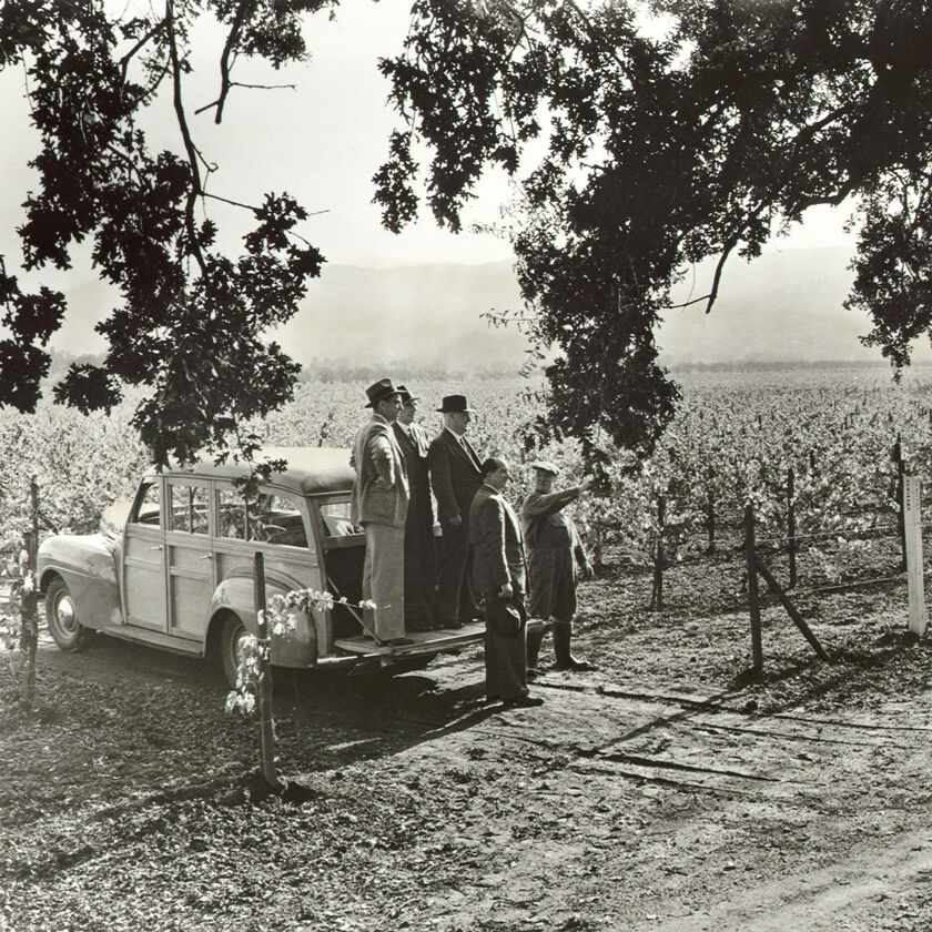 Historical Photograph of Beaulieu Vineyard