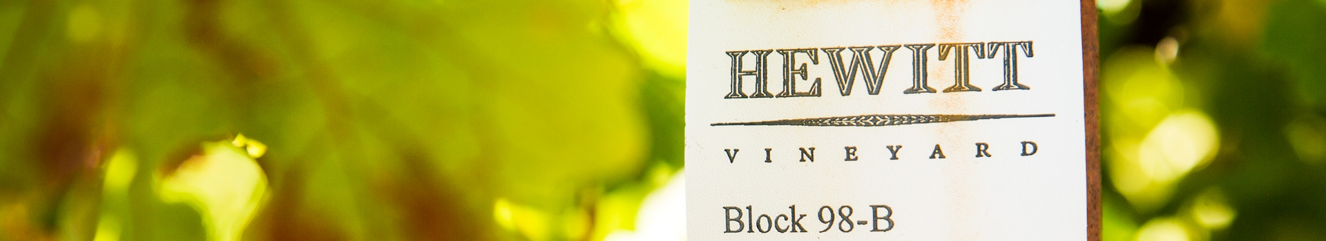 Hewitt Vineyard